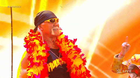 Wwe Wrestling GIF by USA Network