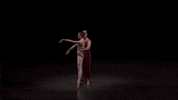 pas de deux dance GIF by New York City Ballet