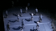 nycballet dance ballet dancers nycb GIF