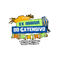 Sao Joao Sticker by Colégio Extensivo