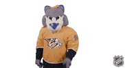 Ice Hockey GIF by NHL