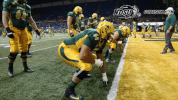 north dakota state football GIF by NDSU Athletics