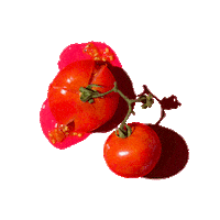 foodporn Sticker