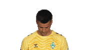 Look Up Werder Bremen Sticker by Bundesliga