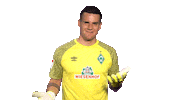 Zetti Zetterer Sticker by SV Werder Bremen