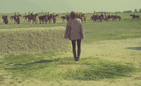 Film Dies GIF