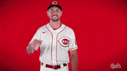 Albert Almora GIF by Cincinnati Reds