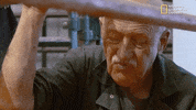 the incredible dr pol season 12 episode 6 GIF by Nat Geo Wild 