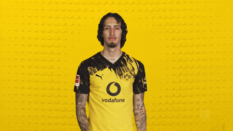 Borussia Dortmund Silva GIF by Bundesliga