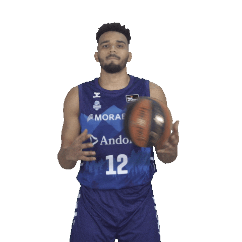 Liga Endesa Sport Sticker by ACB