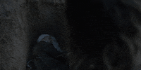 horror GIF by The Witch