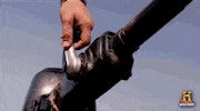history go GIF by Swamp People