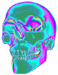 Skull Sticker by badblueprints