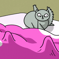 Nervous Cat GIF by KETNIPZ