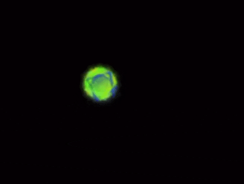 Sheri42  GIF