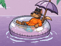 Dog Swimming GIF by SkyDog Social