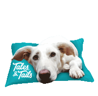 heart tnt Sticker by Tales&Tails