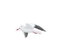 momo_001 bird fly volo seagul Sticker