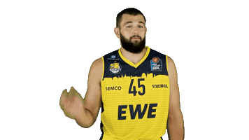Ewe Baskets Basketball Sticker by EWE Baskets Oldenburg