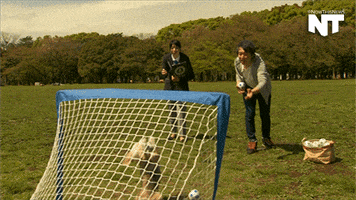 germany india GIF by NowThis 