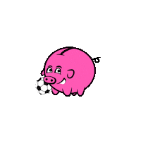 Happy Football Sticker by Bónus Iceland