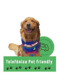 Golden Retriever Dogs Sticker by Telefónica Gastro Park