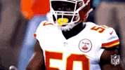 2018 Nfl Football GIF by NFL