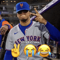 New York Mets Baseball GIF