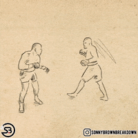 Knock Out Fight GIF by Sonny Brown Breakdown
