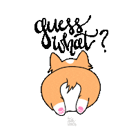 Dog Guess Sticker