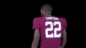 Simpson Selwynsimpson GIF by Lafayette Leopards