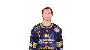 Zellamsee Ekz Sticker by EK Zeller Eisbären
