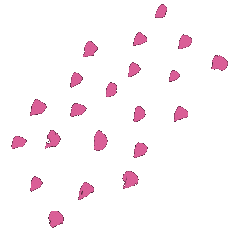 Pink Rosa Sticker