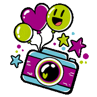 Picture Camara Sticker