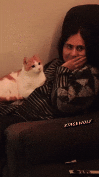 Cat What You Looking At GIF by STAGEWOLF