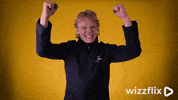 Wizzflix_ wow yes yeah cheers GIF