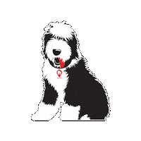 Dwellbarney Sticker by Dwell Realty