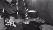 topshelf records prawn GIF