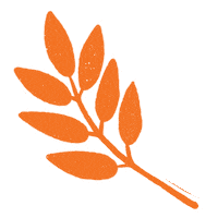 Fall Autumn Sticker by Daniela Nachtigall