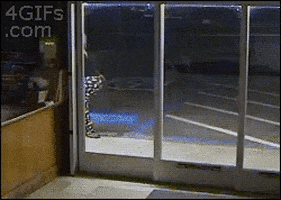 store fights GIF