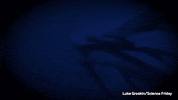 giant squid cephalopod GIF by Science Friday
