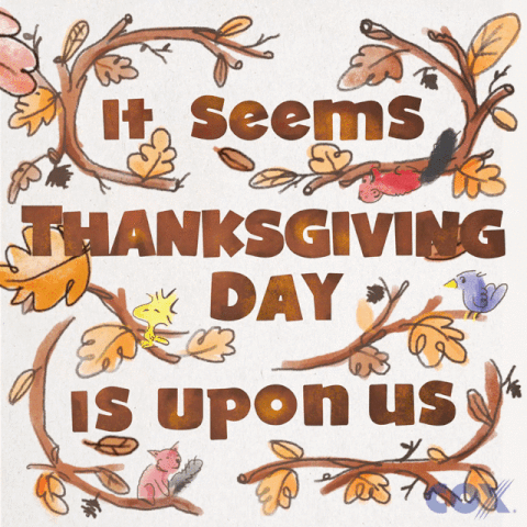 Thanksgiving Day GIF by Cox Communications