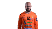 Handball Nicolas Sticker by RiihimäenCocks