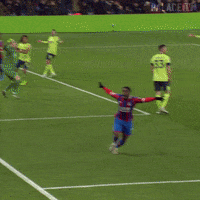 Premier League Sport GIF by CPFC
