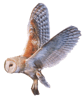 Imagined Futures Sticker by Farfetch