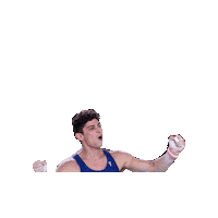 Fgi Celebrating Sticker by Federazione Ginnastica d'Italia