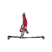 Fgi Sticker by Federazione Ginnastica d'Italia