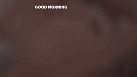 Good Morning Reaction GIF by Lauren Jenkins