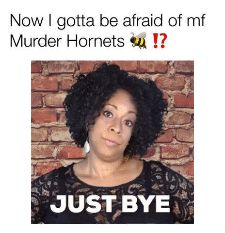 ComedianHollyLogan bye bees hell no apocalypse GIF