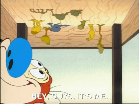 Ren And Stimpy Nicksplat GIF by NickRewind